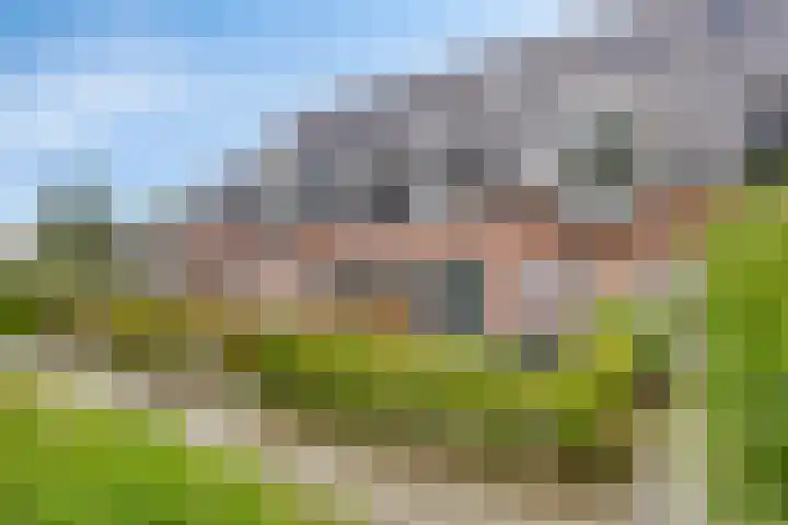 Maalsteen 25 Zuidland thumbnail 31