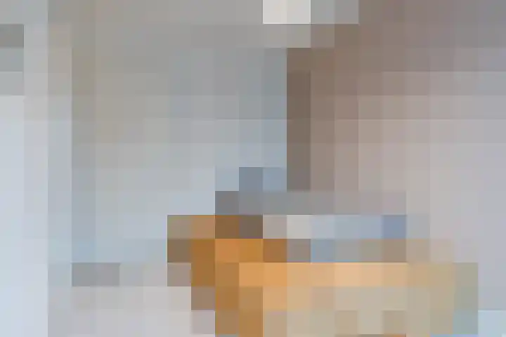 Maalsteen 33 Nistelrode thumbnail 18
