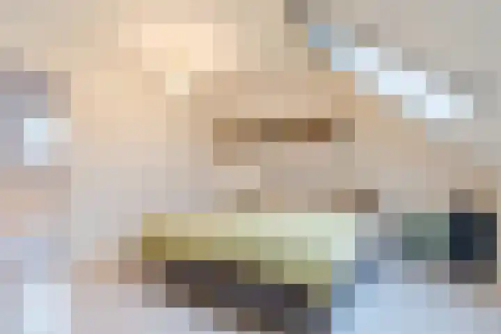 Maalsteen 33 Nistelrode thumbnail 28
