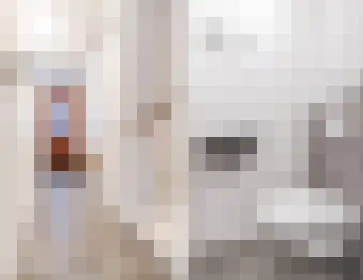 Maalsteen 33 Nistelrode thumbnail 5