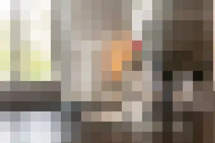 Maalsteen 39 Zuidland thumbnail 12