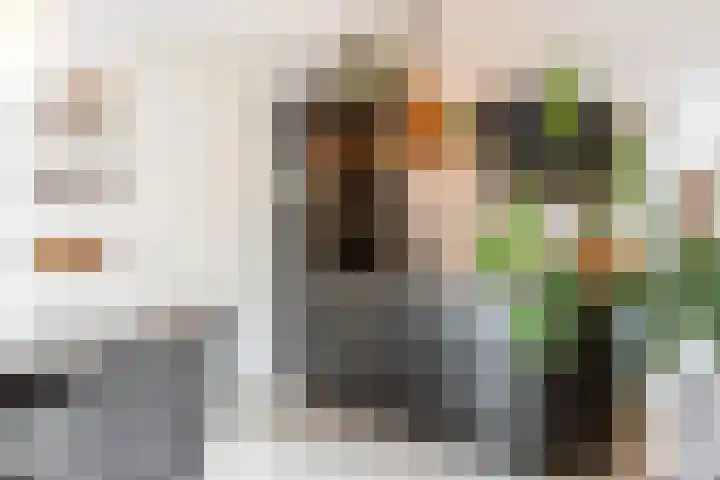 Maalsteen 39 Zuidland thumbnail 14