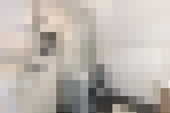 Maalsteen 39 Zuidland thumbnail 16