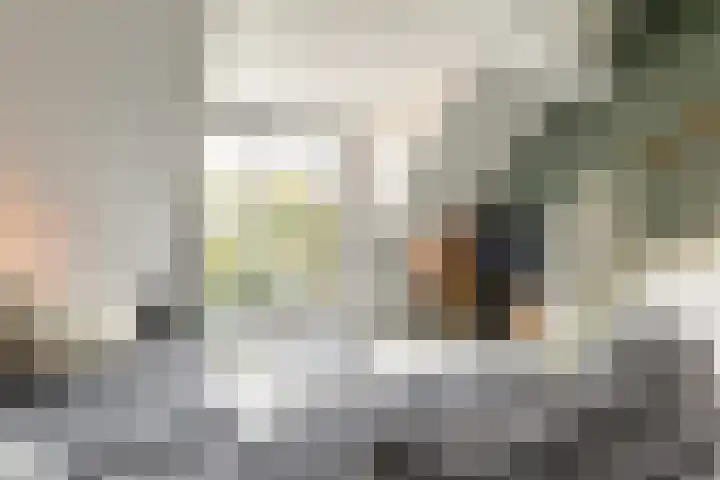 Maalsteen 39 Zuidland thumbnail 18