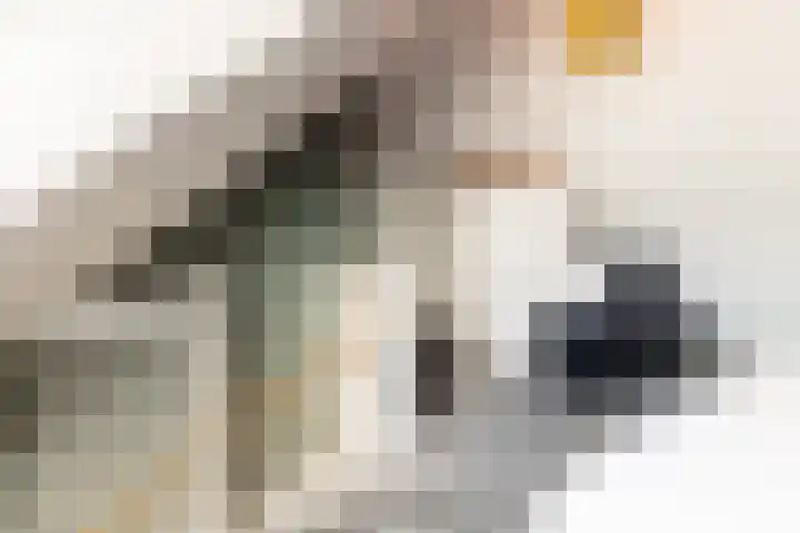 Maalsteen 39 Zuidland thumbnail 20