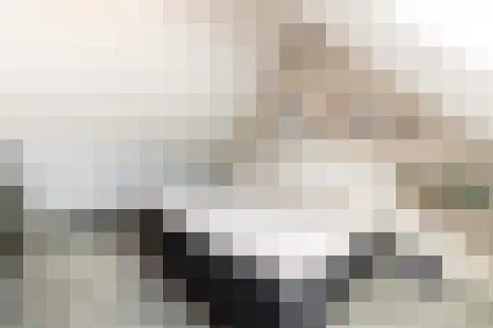 Maalsteen 39 Zuidland thumbnail 22