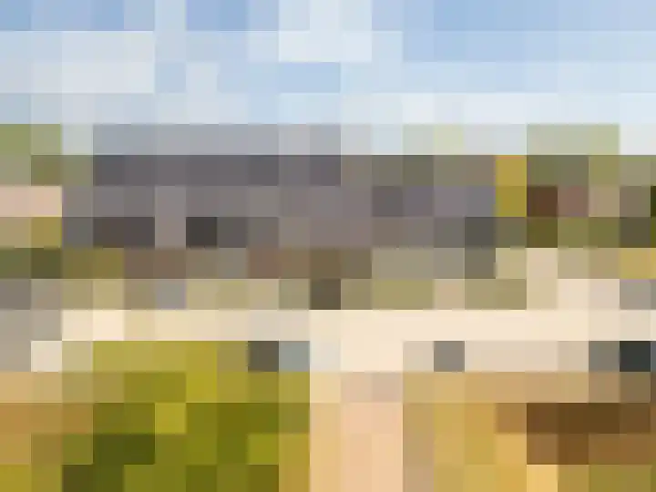 Maalsteen 39 Zuidland thumbnail 28