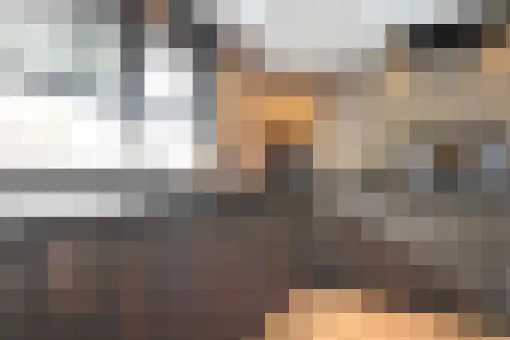 Maalsteen 6 Raalte thumbnail 15