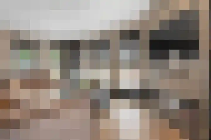 Maalsteen 6 Raalte thumbnail 20