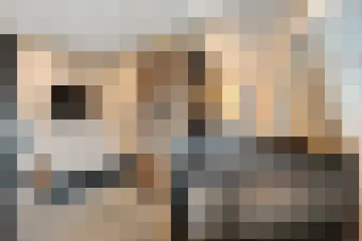 Maalsteen 6 Raalte thumbnail 25
