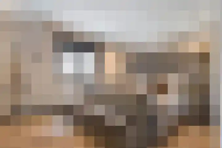 Maalsteen 6 Raalte thumbnail 26