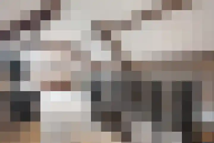 Maalsteen 6 Raalte thumbnail 32