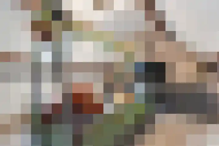 Maalsteen 6 Raalte thumbnail 34