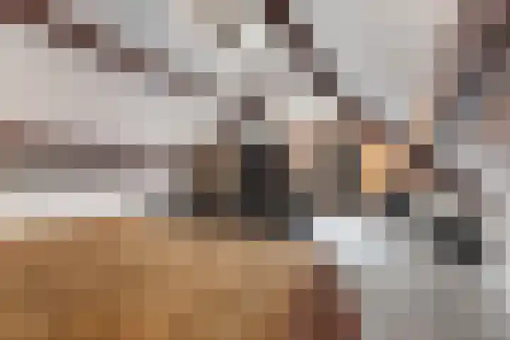 Maalsteen 6 Raalte thumbnail 37