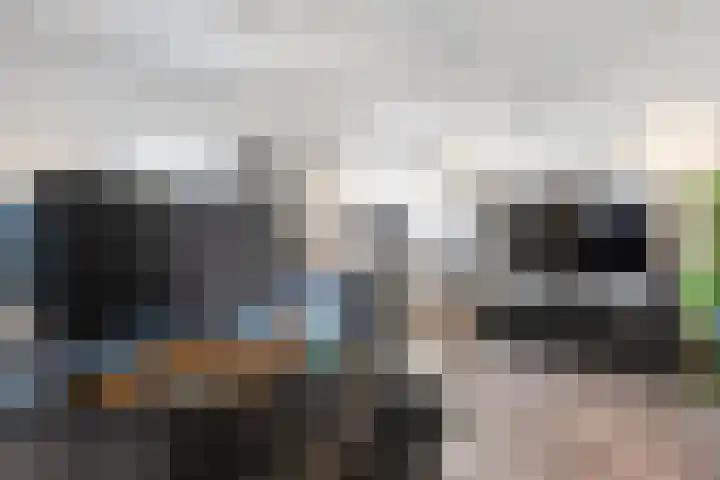 Maalsteen 6 Raalte thumbnail 41