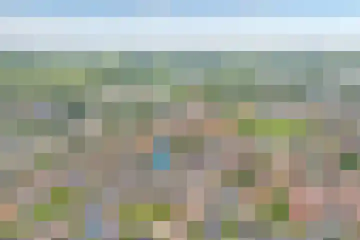 Maalsteen 6 Raalte thumbnail 47
