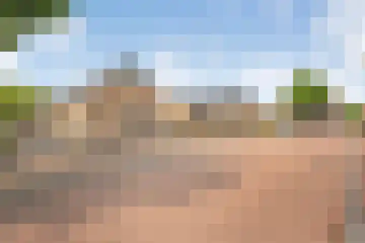 Maalsteen 6 Raalte thumbnail 6