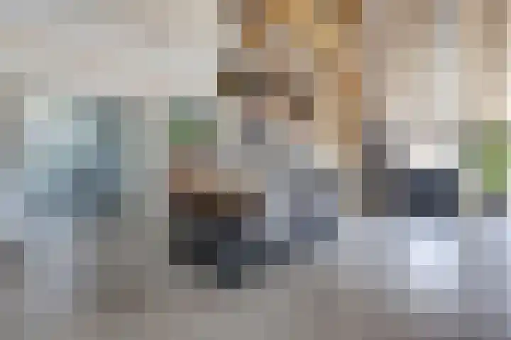 Maanderbuurtweg 41 Ede thumbnail 11