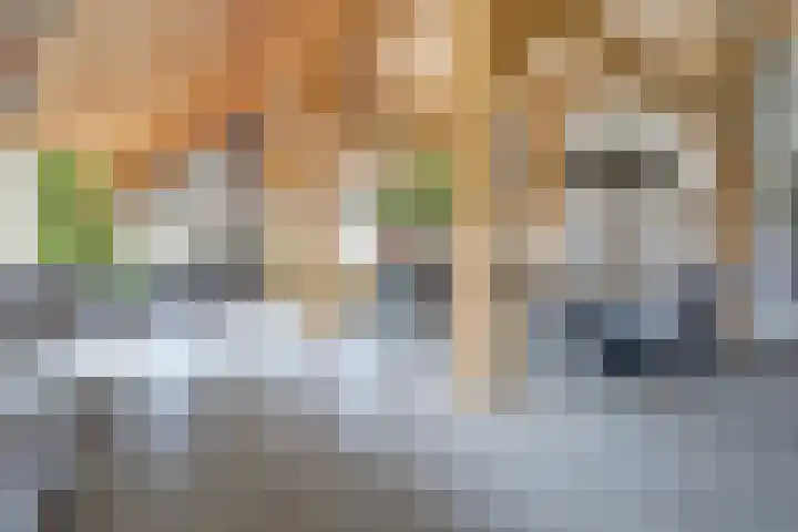 Maanderbuurtweg 41 Ede thumbnail 13
