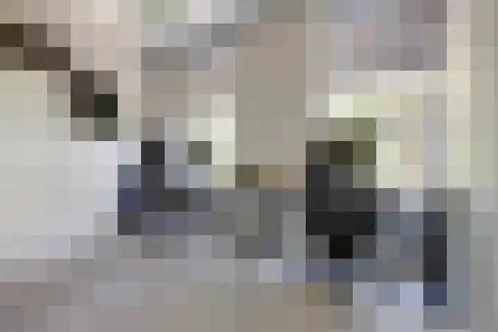 Maanderbuurtweg 41 Ede thumbnail 19
