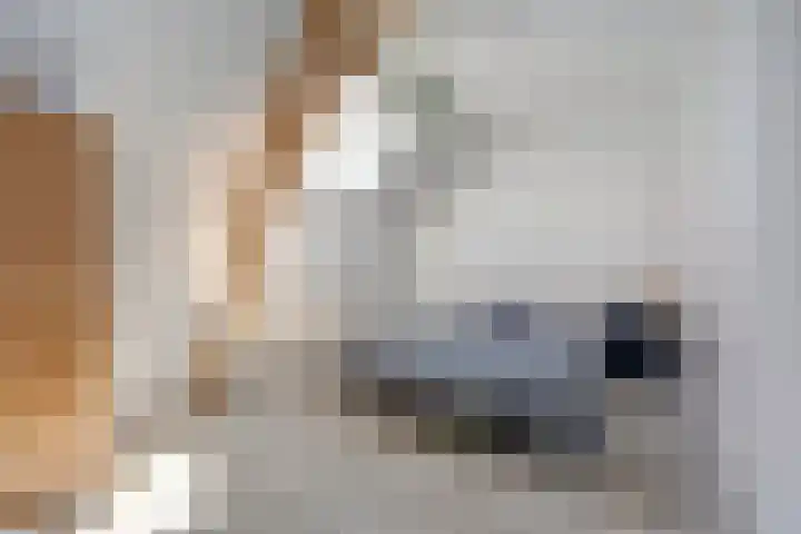 Maanderbuurtweg 41 Ede thumbnail 24