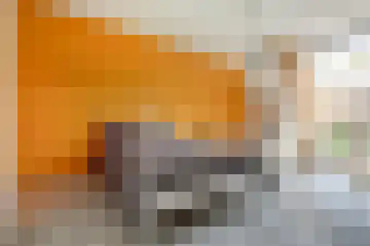 Maanderbuurtweg 41 Ede thumbnail 25