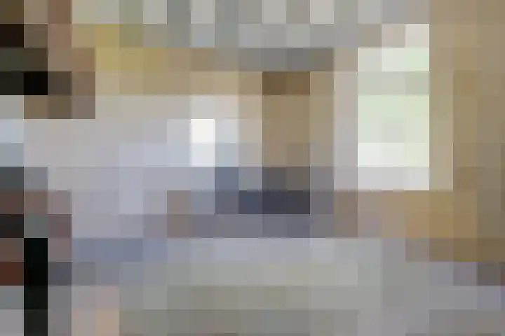 Maanderbuurtweg 41 Ede thumbnail 31
