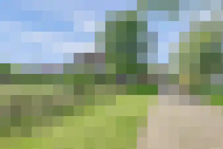Maanderbuurtweg 41 Ede thumbnail 37