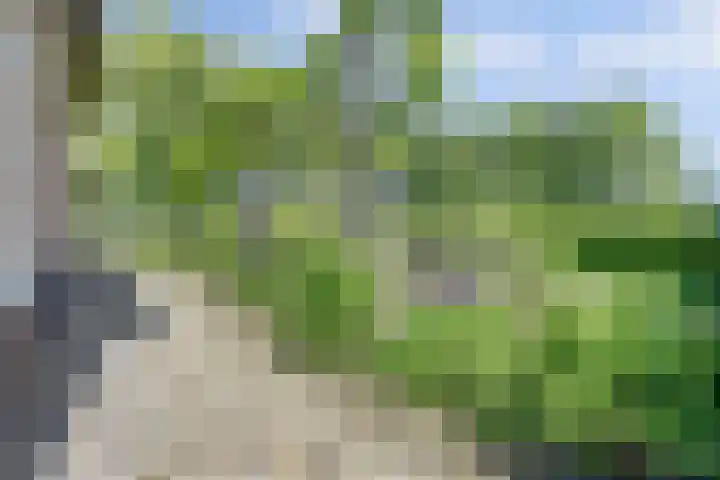 Maanderbuurtweg 41 Ede thumbnail 41