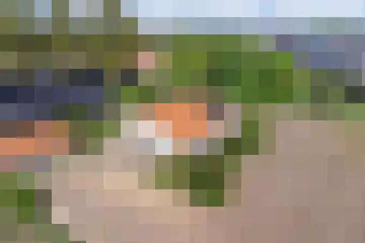 Maanderbuurtweg 41 Ede thumbnail 45