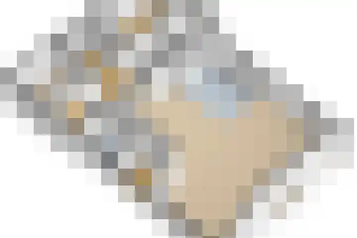 Maanderbuurtweg 41 Ede thumbnail 56