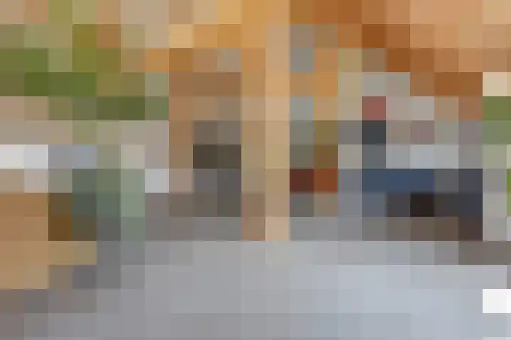 Maanderbuurtweg 41 Ede thumbnail 6