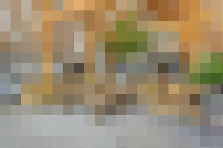 Maanderbuurtweg 41 Ede thumbnail 7