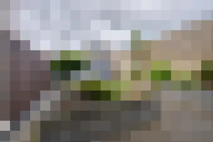 Maanstraat 47 Volendam thumbnail 19