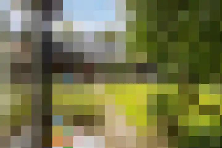 Maanweg 3 Leusden thumbnail 39