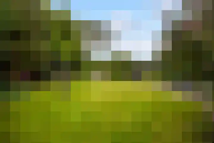 Maanweg 3 Leusden thumbnail 41