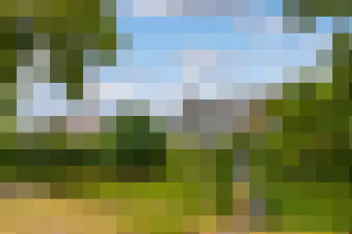 Maanweg 3 Leusden thumbnail 46