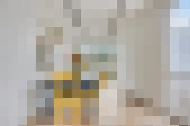 Maanzaadstraat 1 Purmerend thumbnail 15