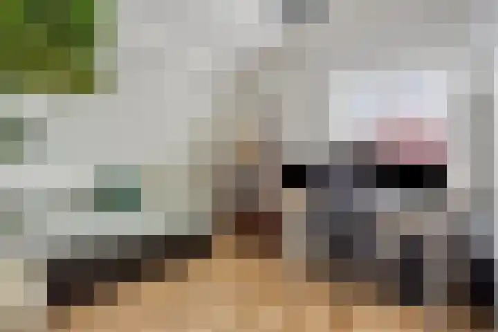 Maanzaadstraat 1 Purmerend thumbnail 19