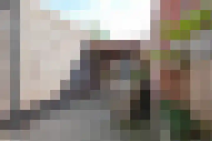 Maardijk 8 Almelo thumbnail 18
