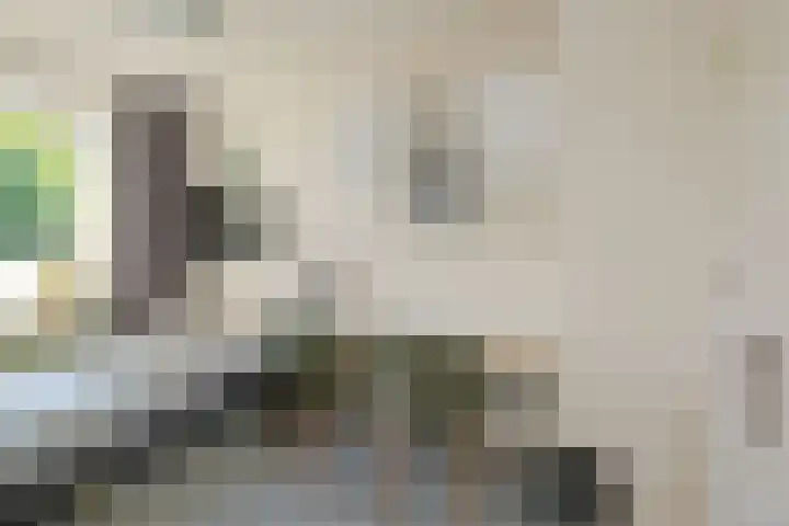 Maardijk 8 Almelo thumbnail 26