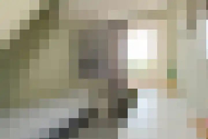 Maardijk 8 Almelo thumbnail 27