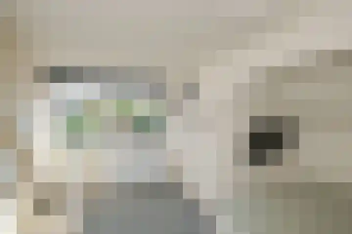 Maardijk 8 Almelo thumbnail 29