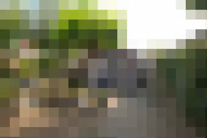 Maardijk 8 Almelo thumbnail 4