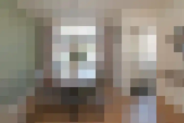 Maardijk 8 Almelo thumbnail 5