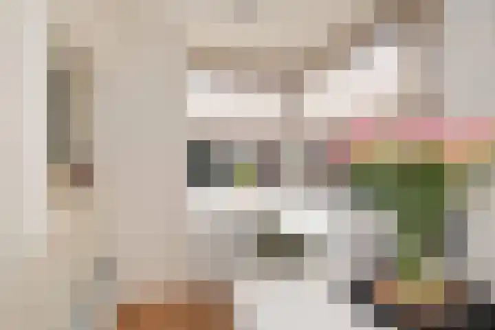 Maardijk 8 Almelo thumbnail 8
