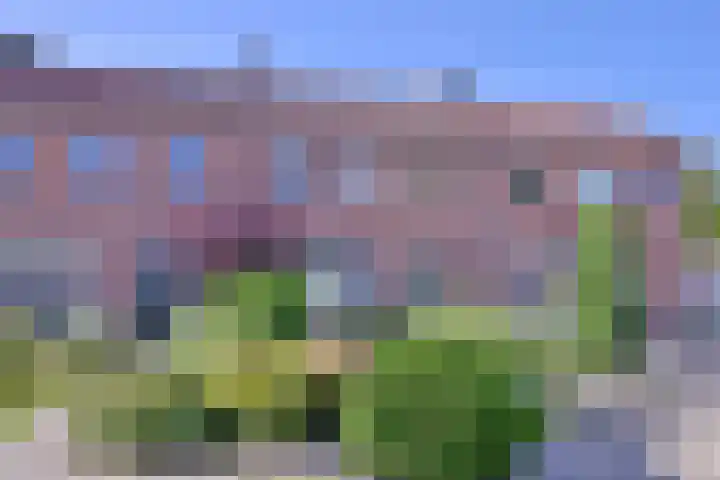 Maarten Munnikplein 16 Brummen thumbnail 34