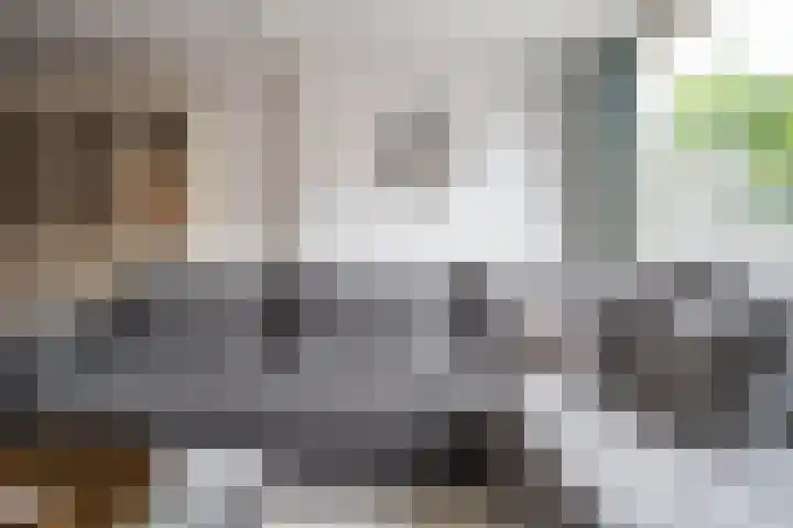 Maarten 't Hartstraat 19 Leiderdorp thumbnail 23