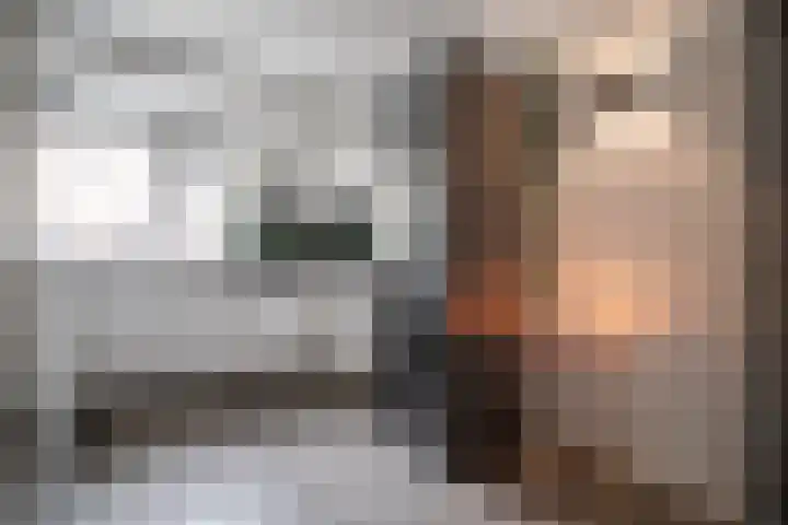 Maarten 't Hartstraat 19 Leiderdorp thumbnail 6