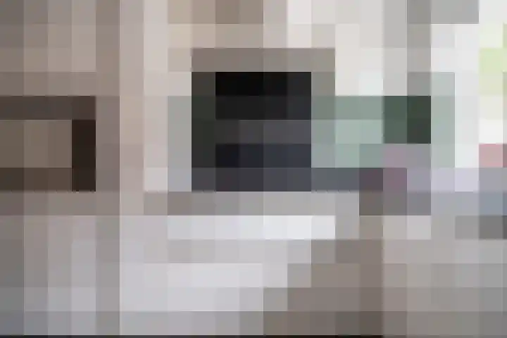 Maarten 't Hartstraat 19 Leiderdorp thumbnail 9